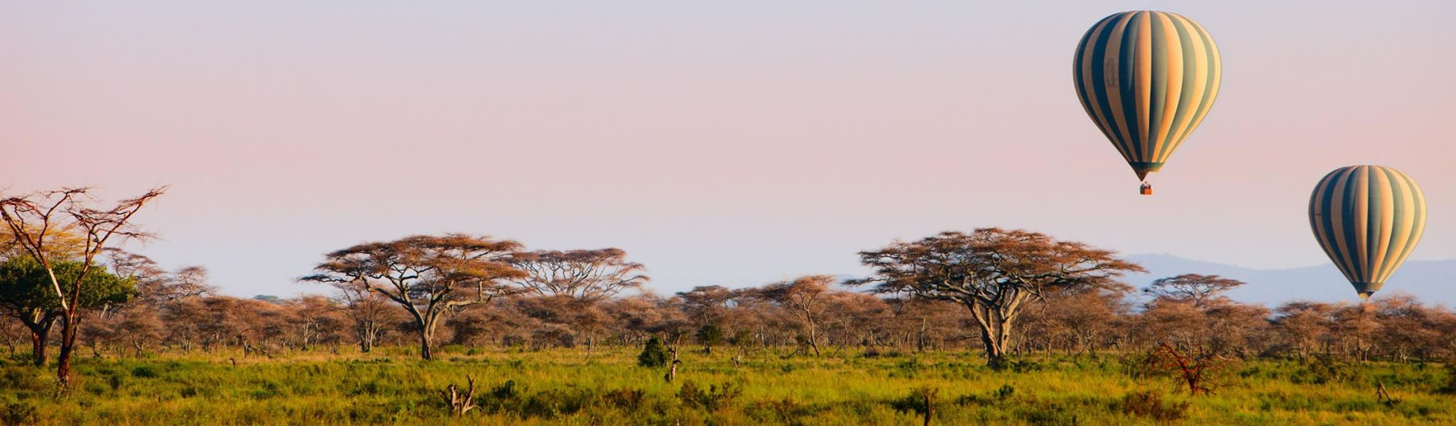 Amboseli National Park - Elephants with Kilimanjaro backdrop