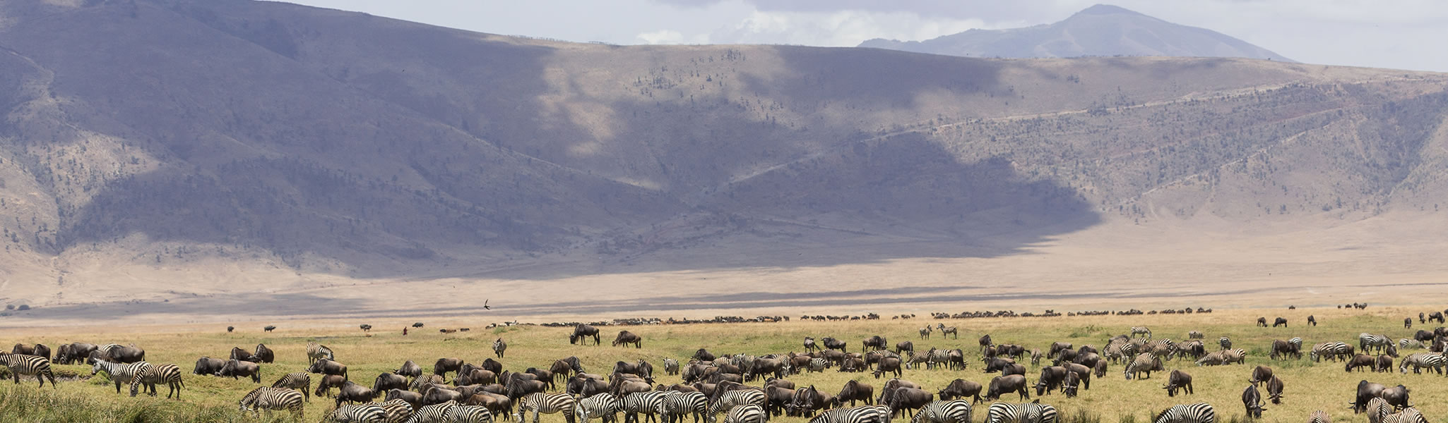 Ngorongoro Crater - Africa's Garden of Eden